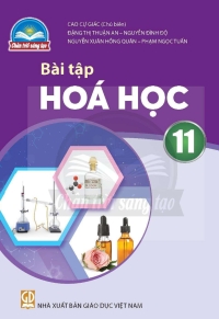 Bài tập Hoá học 11 Chân trời sáng tạo