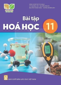 Bài tập Hoá học 11 Kết nối tri thức