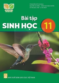 Bài tập Sinh học 11 Kết nối tri thức