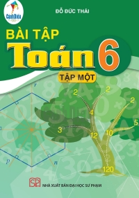 Bài tập Toán 6 Tập 1 Cánh diều