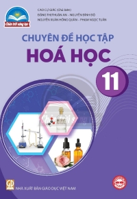 Chuyên đề Hoá học 11 Chân trời sáng tạo