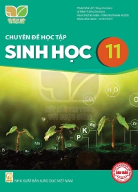 Chuyên đề Sinh học 11 Kết nối tri thức